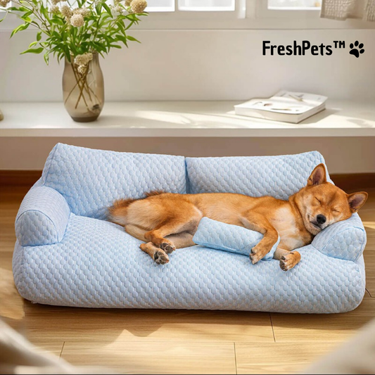 FreshPets | Cama refrescante para Animais de Estimação